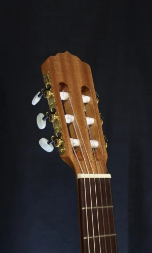 canela-headstock
