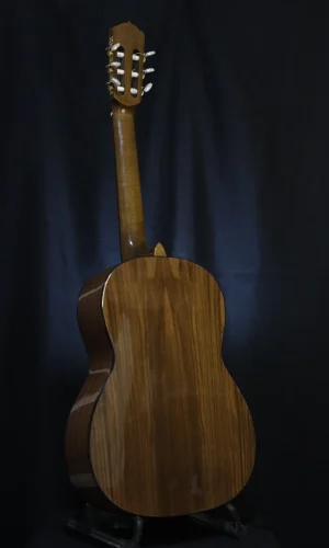g1-crossover-back