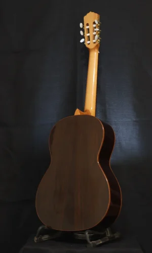p1-back