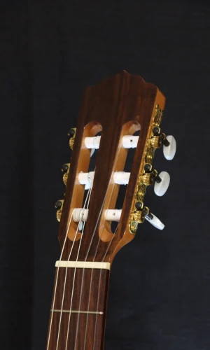 p1-headstock